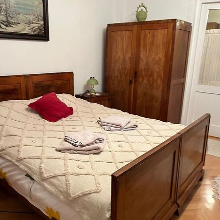 Emese Central Vintage Apartment Târgu-Mureş Eksteriør bilde