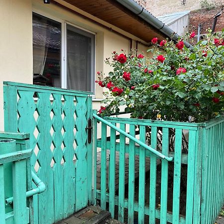 Emese Central Vintage Apartment Târgu-Mureş Eksteriør bilde