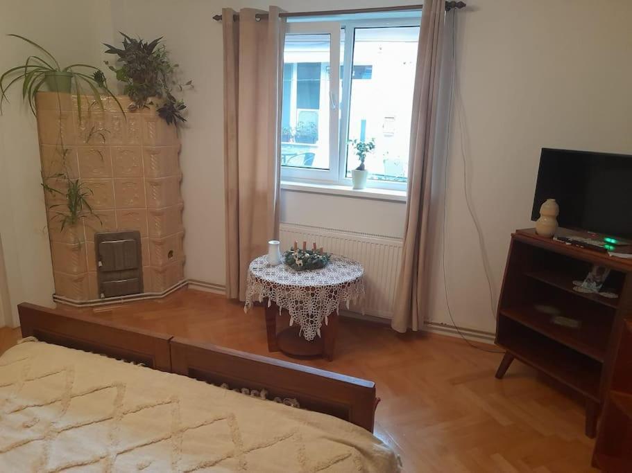 Emese Central Vintage Apartment Târgu-Mureş Eksteriør bilde