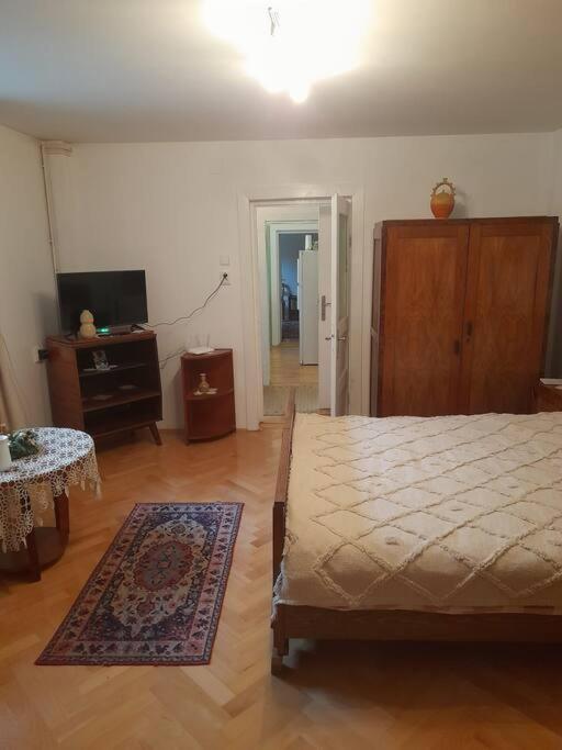 Emese Central Vintage Apartment Târgu-Mureş Eksteriør bilde
