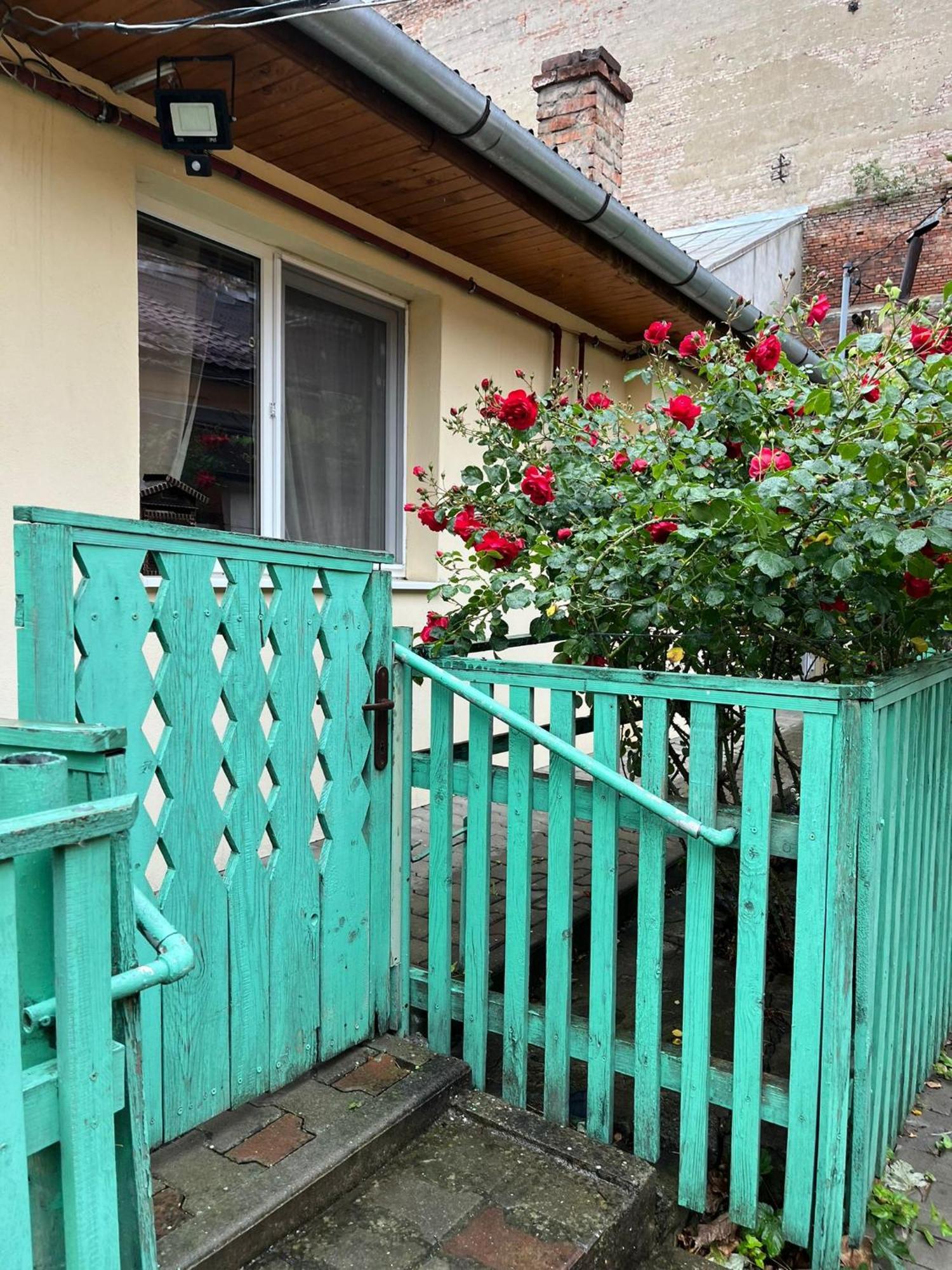 Emese Central Vintage Apartment Târgu-Mureş Eksteriør bilde
